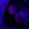 Girls Aesthetic ⛧1 Movi 30