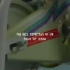 Mentía Miranda y Chano 24