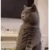Mix ✥6 Movi 5
