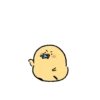 Cute little chick 5