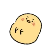 Cute little chick 6