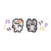 cat 5