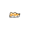 Corgi bonitinho 5
