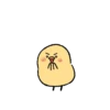 Cute little chick 8