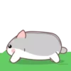 Grey Hamster MOV. 7