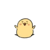 Cute little chick 9