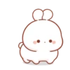 Cotton Bunny 2 MOV. 5