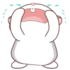Grey Hamster .MOV 8