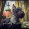 Perritos Guau Guau 8