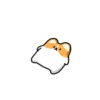 Corgi bonitinho 6