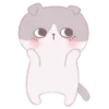 Cute Cats 6