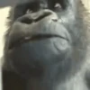 Reaction 10 7