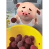 Cerdito lindo 1 MOV. 7