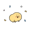 Cute little chick 10