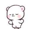 4.3 Baile peluche 8