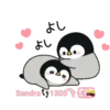 Pingüinos 1 Movi 10