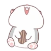 Grey Hamster .MOV 12