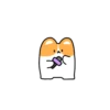 Corgi bonitinho 8