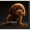 Perritos Guau Guau 13