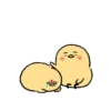 Cute little chick 12