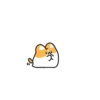 Corgi bonitinho 9