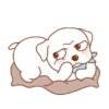 Perrito 10