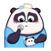 Panditas de Katiana MOV 10
