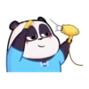 Panditas de Katiana MOV 11