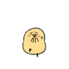 Cute little chick 13