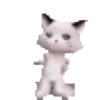 cat 17