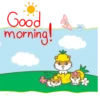 morning 11