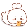 Cotton Bunny 2 MOV. 11