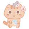 Cute Cats 9