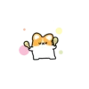 Corgi bonitinho 11