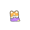 Corgi bonitinho 13