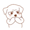 Perrito 14