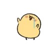 Cute little chick 15