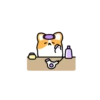 Corgi bonitinho 14