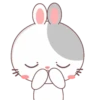 Rabbit 2 .MOV 19