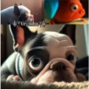 Perritos Guau Guau 19