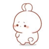 Cotton Bunny 2 MOV. 13