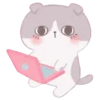 Cute Cats 11