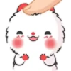 a furry mouse 12
