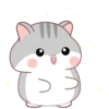 Grey Hamster .MOV 19