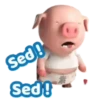 Cerdito lindo 1 MOV. 17