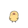 Cute little chick 16