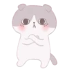 Cute Cats 12