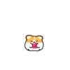 Corgi bonitinho 15