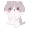 Cute Cats 13