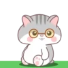 Grey Hamster MOV. 15